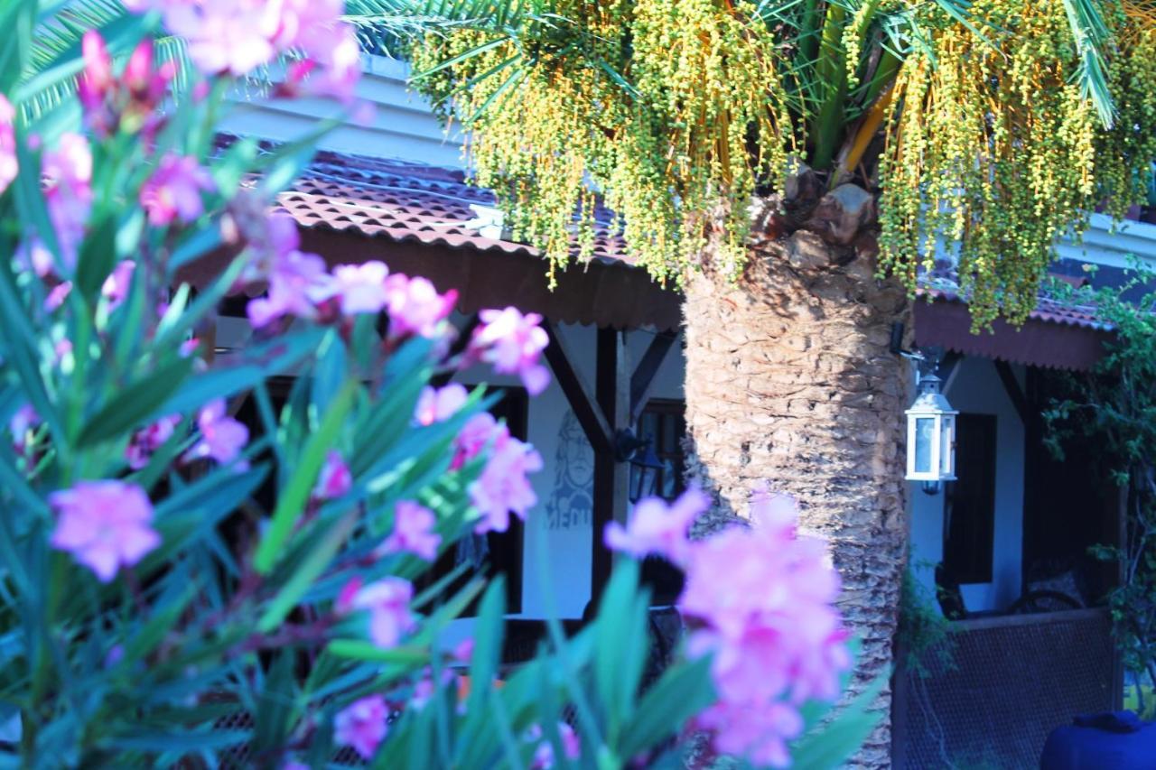 Medusa Camping Patara Exterior foto