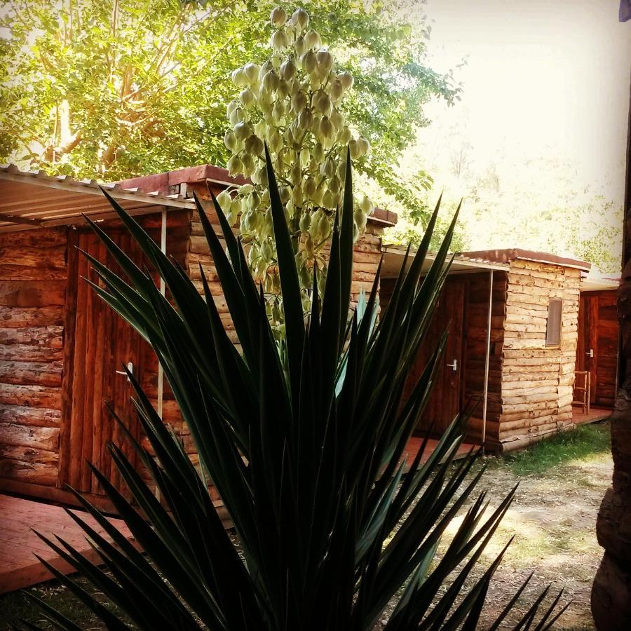 Medusa Camping Patara Exterior foto